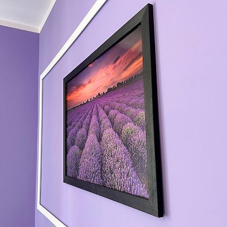 Apartament Lawendowy Wałbrzych Extérieur photo