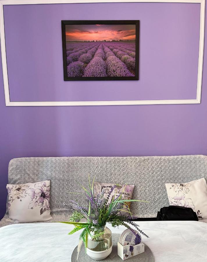 Apartament Lawendowy Wałbrzych Extérieur photo